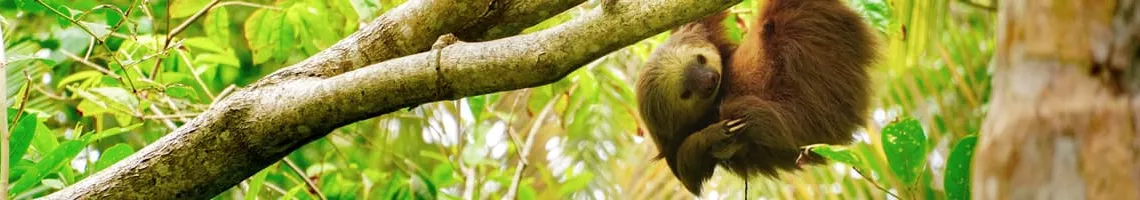 Costa Rica, au cœur d'une nature préservée