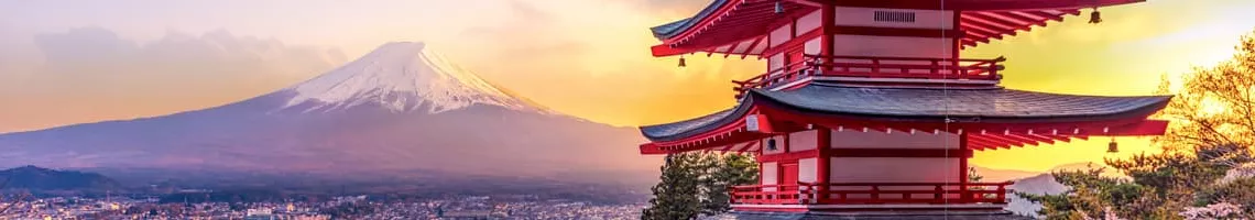 Circuit au Japon, de Tokyo à Osaka