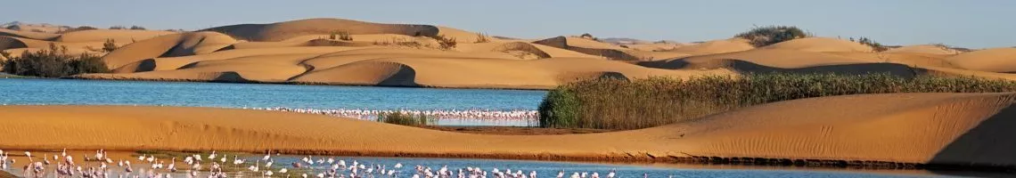 Aventures en Afrique du Sud et Namibie en train