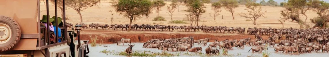 Tanzanie et Zanzibar