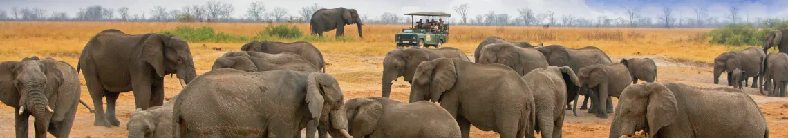 Train African Explorer: de Pretoria aux chutes Victoria - Afrique du Sud, l'Eswatini, le Mozambique et le Zimbabwe