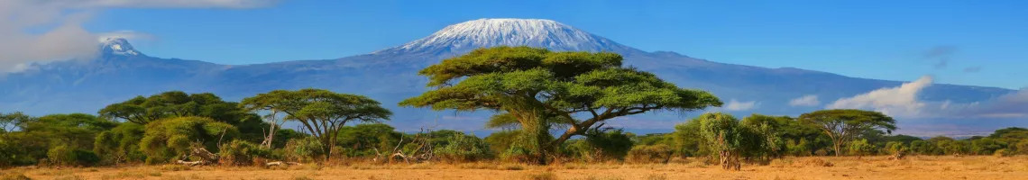 Aventures en Tanzanie  et détente à Zanzibar