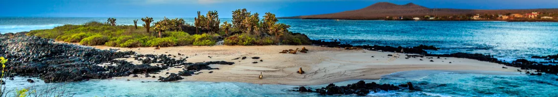 Croisière aux Galápagos : cap sur le paradis terrestre