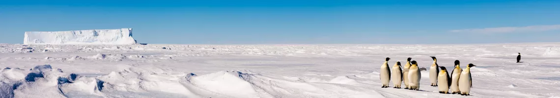 Croisière en Péninsule Antarctique et passage du cercle polaire