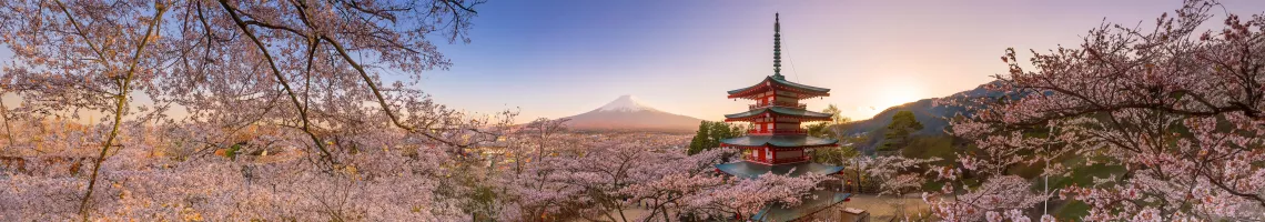 Croisière au Japon, arts et tradition