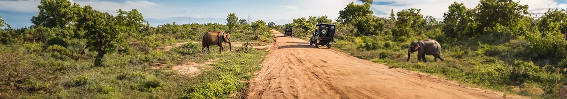 Train African Explorer: Afrique du Sud, Eswatini, Mozambique, Zimbabwe