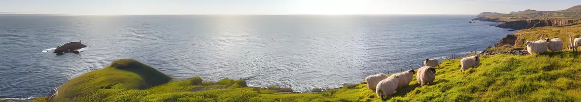 Splendeurs des îles du Nord : croisière dans les pays celtes