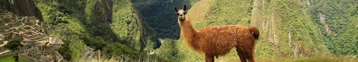 Sur la terre des Incas : trésors du Pérou ancestral