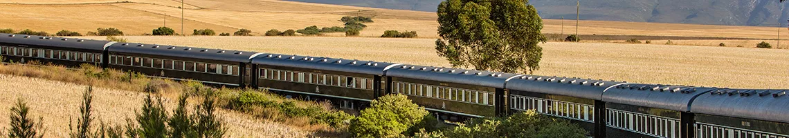 Splendeurs d'Afrique australe à bord de l'African Explorer