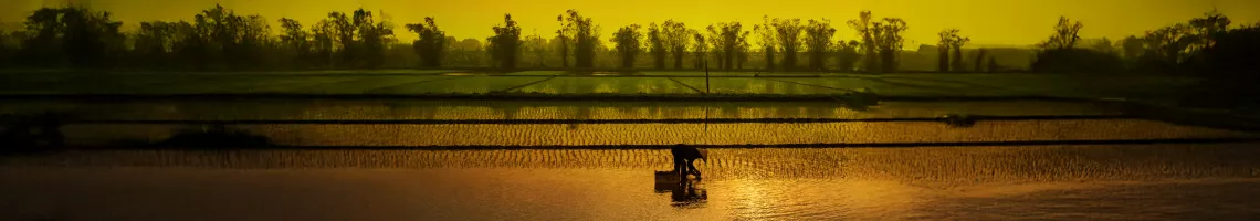 Le Mékong en croisière : du Cambodge au Vietnam avec Valeurs Actuelles
