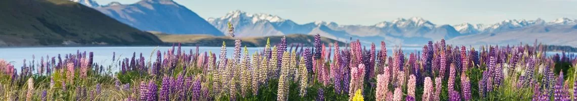 Trésors maori : Nouvelle-Zélande & Australie