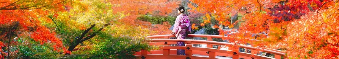 Croisière dans l'archipel japonais : entre sanctuaires et châteaux, découverte du Japon