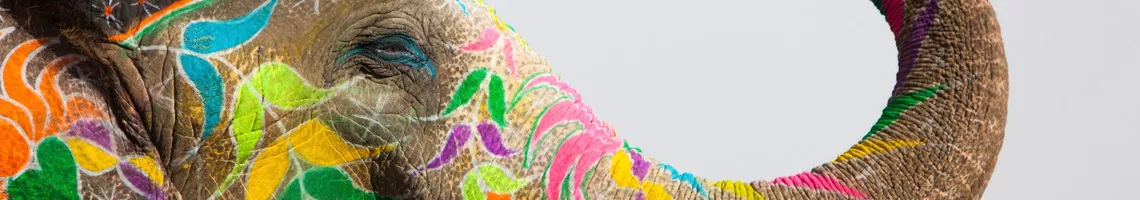 L'Inde des Maharajas en train de luxe