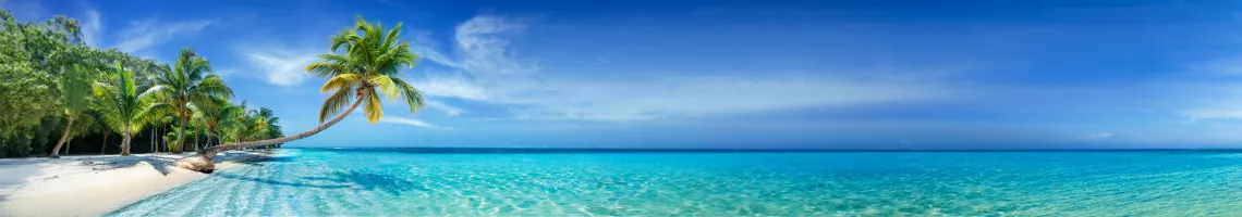 Échappée caribéenne à bord du Star Flyer