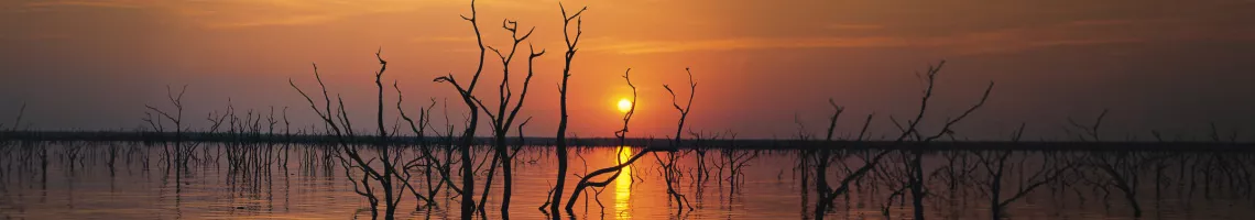 Croisière & Safari en Afrique Australe, Lac Kariba & Chutes Victoria