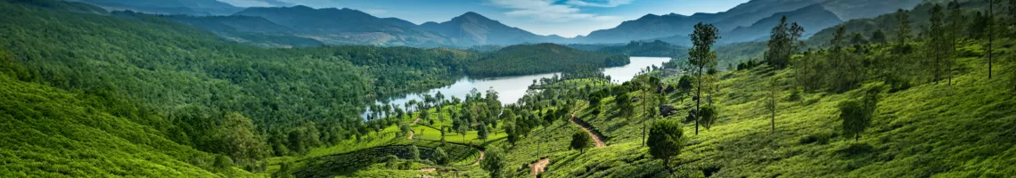 Kerala, au fil des eaux et des traditions