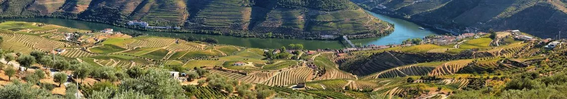 Splendeurs du Portugal, croisière dans la vallée du Douro
