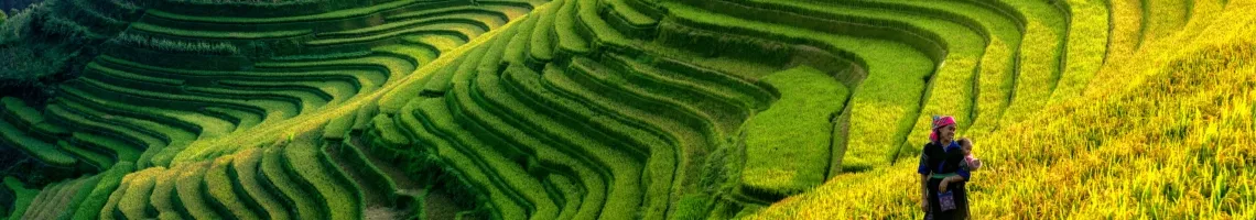 Le Vietnam, entre rizières et vallées secrètes, au rythme du S Journey