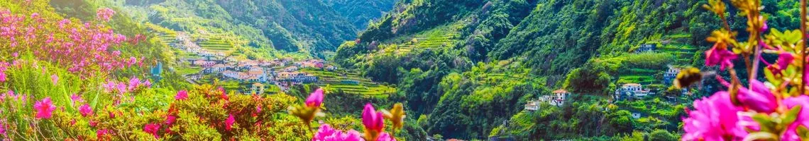 Odyssée Florale à Madère : la Fête des Fleurs