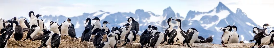 Fjords chiliens et bout du monde : cap sur la patagonie