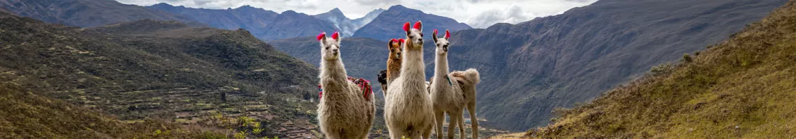 Sur la terre des Incas : trésors du Pérou ancestral
