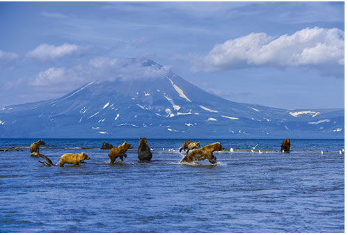 Croisière Kalmtchatka
