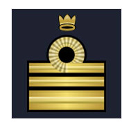 Insigne commandant