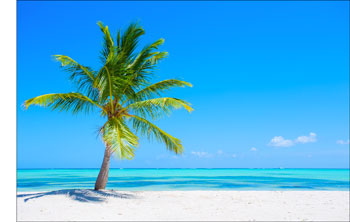 Plages paradisiaques à découvrir en escale